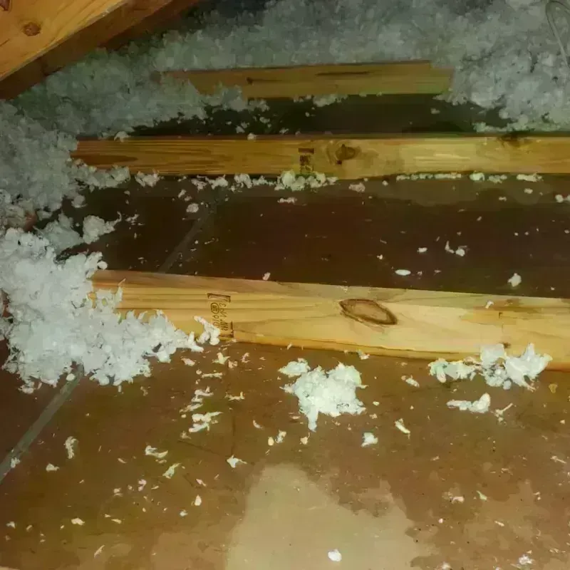 Attic Water Damage in Troy, KS