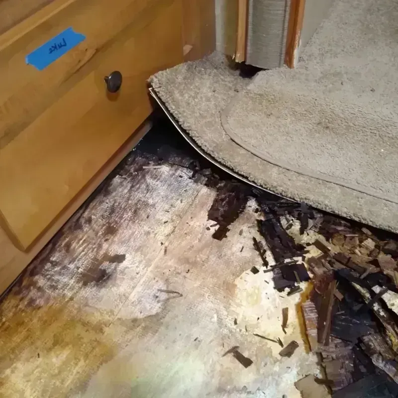 Wood Floor Water Damage in Troy, KS